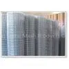 Galvanized Welded Wire Mesh
