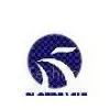 Anhui Phoenix Plate Technology Co,. Ltd