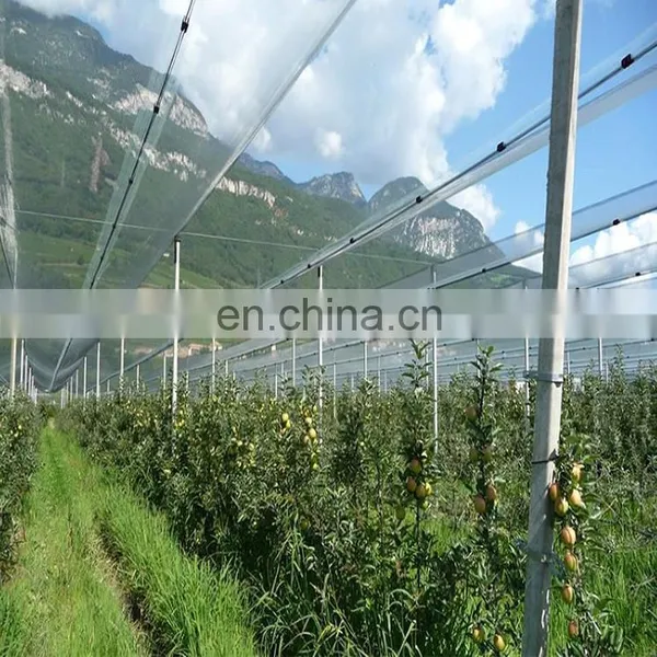 Agricultural HDPE Anti Hail Net Screenhouse for Plants Protection Fruit Apple Tree photo-3