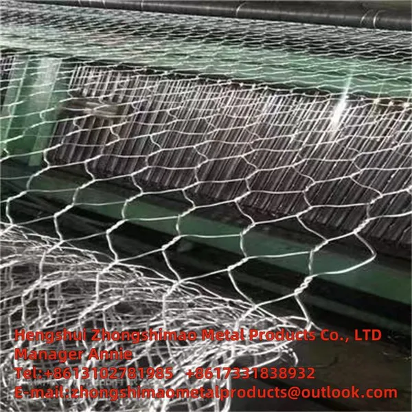 Hexagonal Wire Mesh/chicken Wire Mesh/protecting Wire Mesh/PVC Protective Layer/ Wire Mesh photo-5