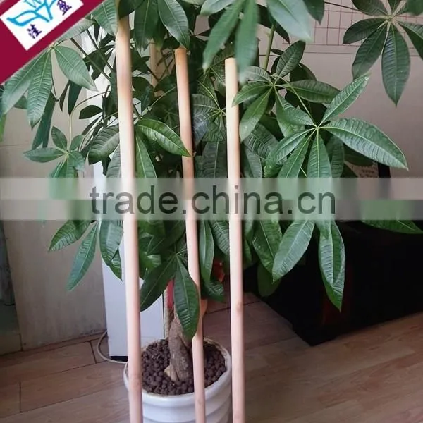 Eucalyptus Wooden Mop Handle/Spin Mop Handle photo-6
