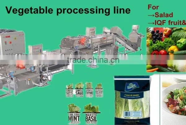 salad vegetable processing line/Fresh vegetable processing production line/automatic vegetable washing line