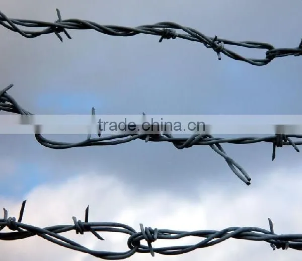 Hot Dipped Galvanized and Powder Coating Barbed Wire Hot Sale photo-2
