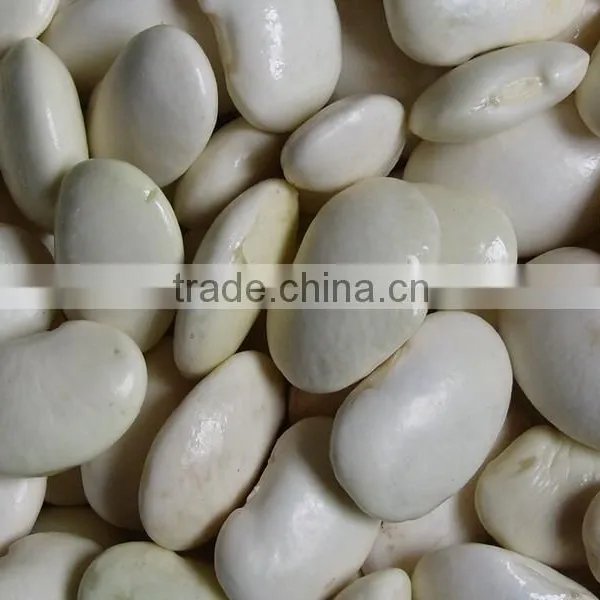 KOSHER Supplier Canned White Kidney Beans photo-2