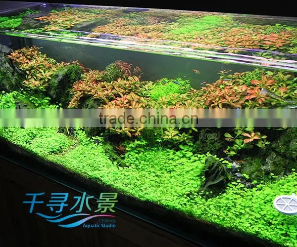Distributors Wanted Aquarium Chihiros Doctor Water Ionizer System 330-10012 photo-4