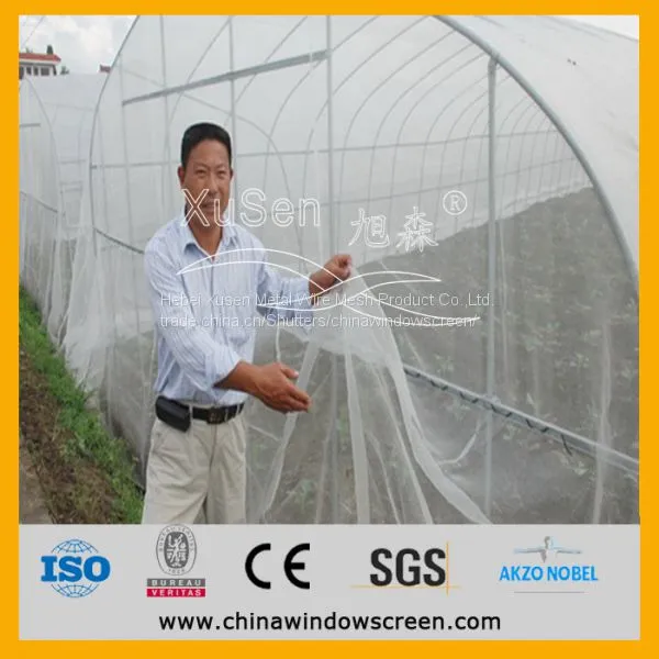 Insect Screen for Greenhouse photo-3