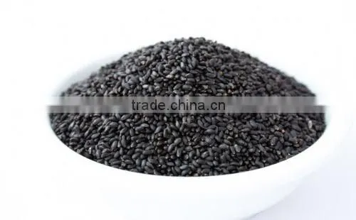 Basil Seeds