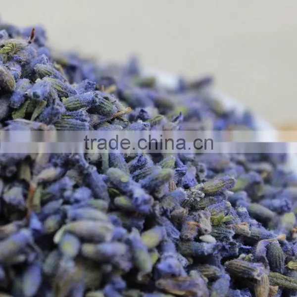2015 Harvest Dried Lavender Flower,Dropship Herbal Tea,China Herb Tea photo-5