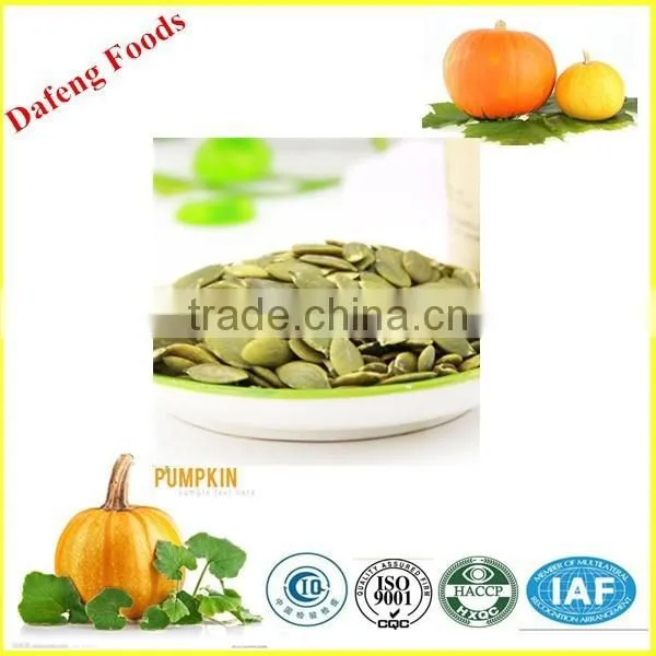 Wholesale Pumpkin Seeds Kernel for Baking Line photo-3