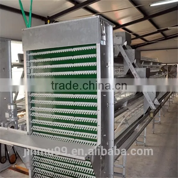 High Quality Galvanised Steel Wire Layer Chicken Cage for Sale photo-4