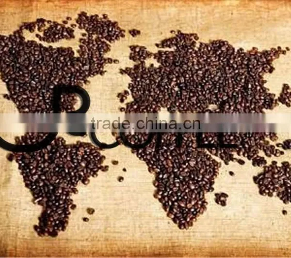 Roasted Coffee Roast Robusta Coffee Beans photo-3