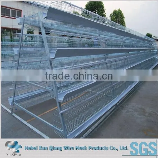 Export Standard Poultry Battery Cage ( 20 Years Using no Rust ) photo-2