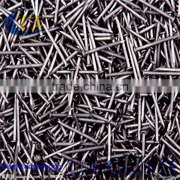Polish Common Nail From Professional Factory photo-6