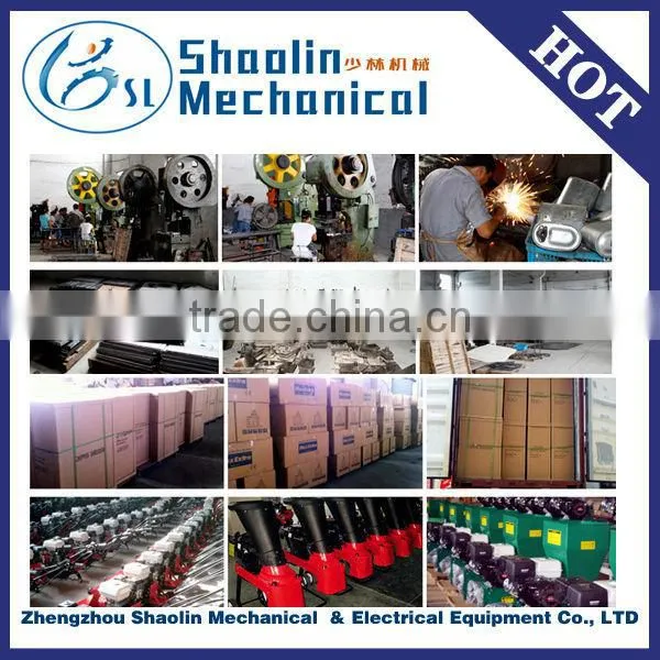 Lowest Price China Petrol Chipper Shredder With Best Service photo-6