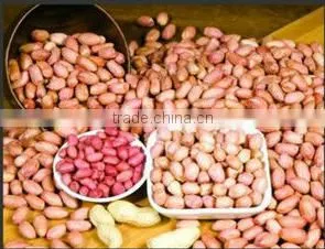 Small Stainless Steel Peanut Butter Colloid Mill photo-2