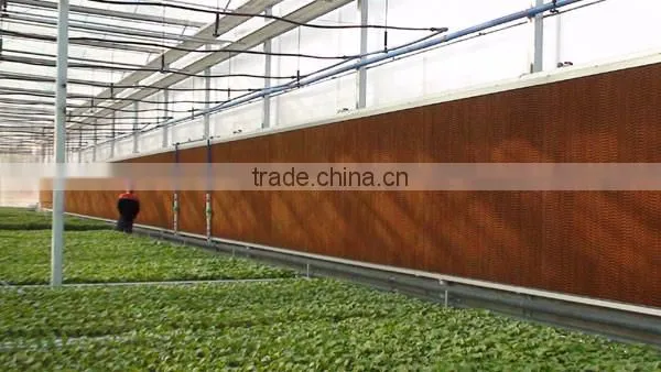 Commercial Greenhouse photo-6