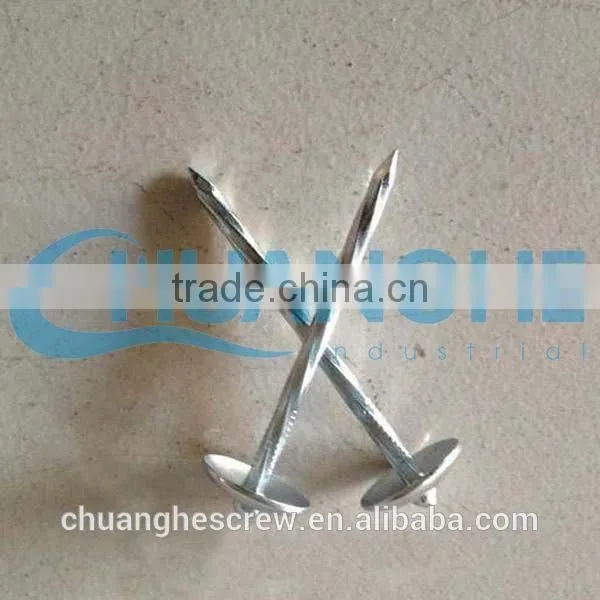 Sanfan-galvanized Thread Rolling Roofing Nails photo-5