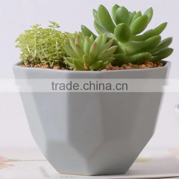 2016 New Design Irregular Ceramic Succulent Planter photo-3