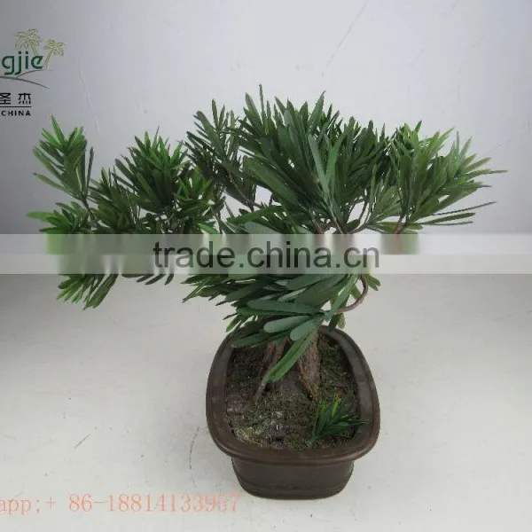 Miniascape,potted Evergreen Landscape,shapped Bonsai photo-2