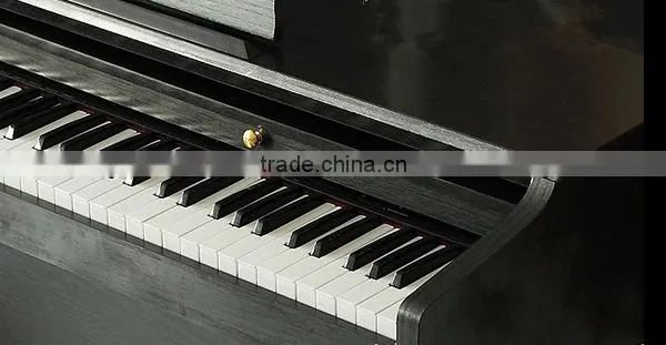 Worldwide Shipping LED Lamp Portable Grand Digital Piano photo-2