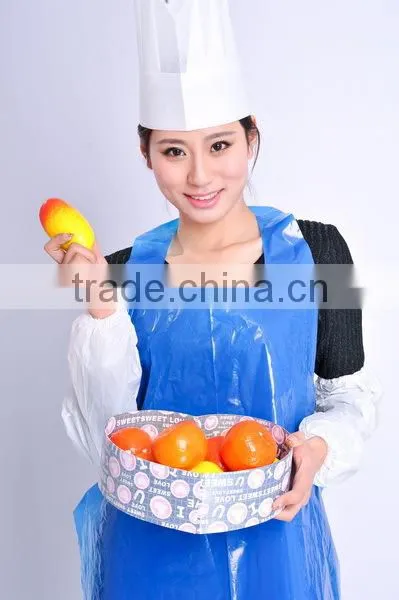 PE Arm Length Sleeve/ Disposable Sleeve/ HDPE Long Sleeve Cover photo-2