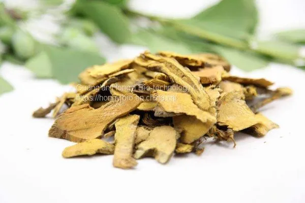 Polygonum Cuspidatum Extract Herbal Plant Extract Resveratrol photo-3