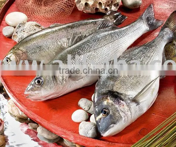 Fresh Farmed Seafood