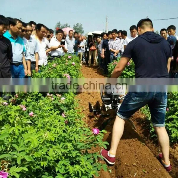 China Suppliers Strawberry Soil Cultivation Machine Oversea Service Equipment photo-2