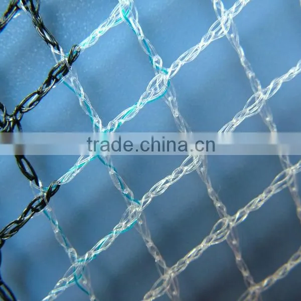 Apple Tree Anti Hai Netting photo-2