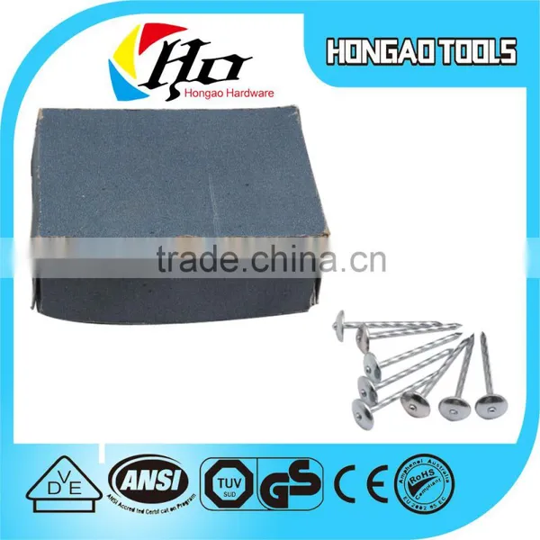 Hot Sale E-galvanized Umbrella Head Roofing Nails Export to Africa Quality Choice photo-3