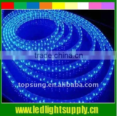 Blue Rope Led Led Christmas Lighting Supplier Led Flexible Light Strip