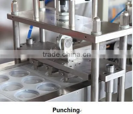 PP Tray Forming Machine photo-3