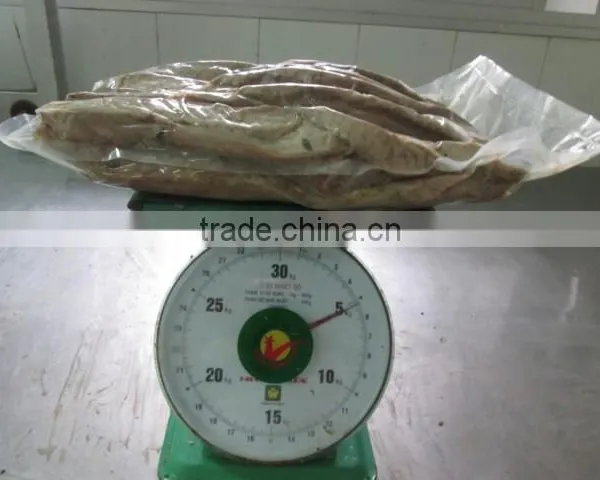 Frozen Precooked Tuna Loin