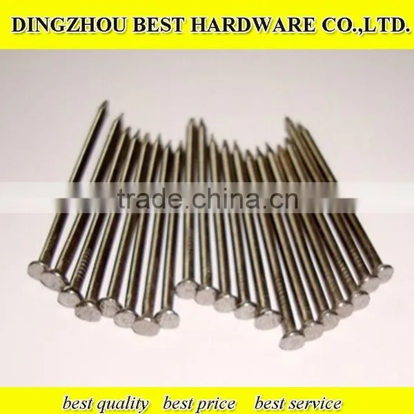 Polished Common Iron Nail
