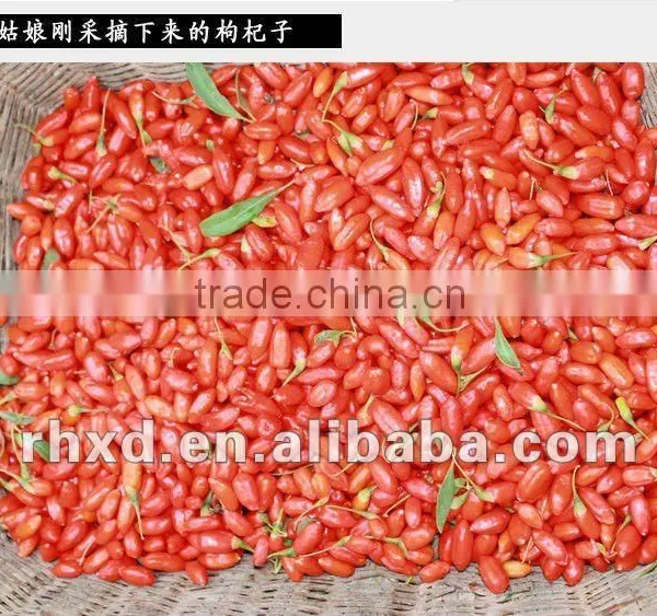 High Quality Dried Raw Goji Berries photo-4