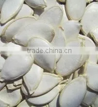 PUMPKIN SEEDS photo-2