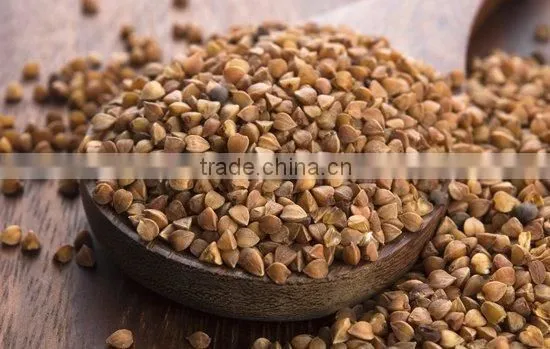 BUCKWHEAT KERNELS FOR FOOD photo-2
