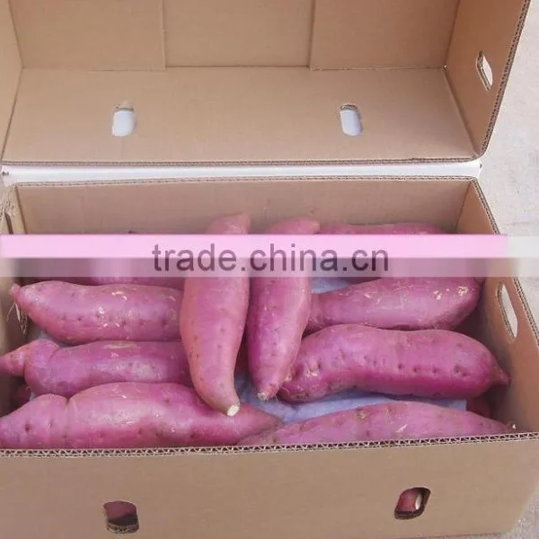 New Frozen Sweet Potatos Bulk Order for Sale photo-2