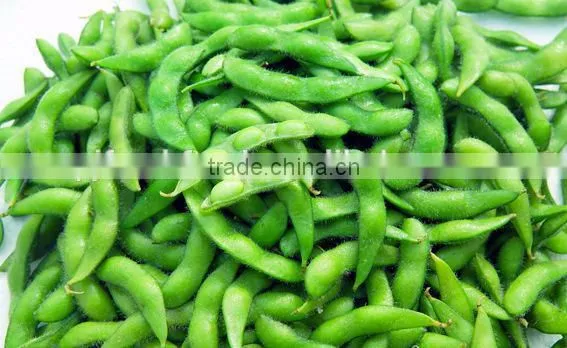 IQF Fresh Soybeans photo-4