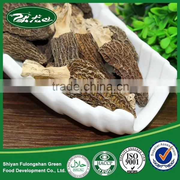 Shiyan Wild Dried Morel Mushrooms Best Price