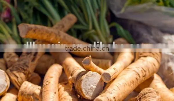 Dry Horseradish photo-3