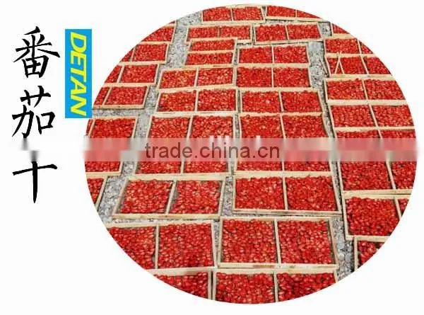 Detan Sun Dried Tomatoes photo-4