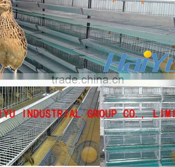 TAIYU Layer Quail Cage With Automatic System