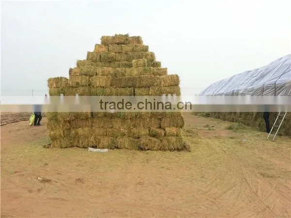 Hydraulic Baling Press Machine for Cotton,sheep Wool,waste Clothes,plastic Bottle photo-6