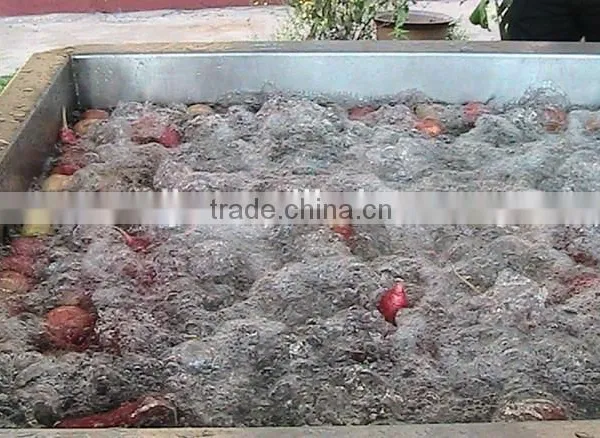 Trustworthy Product Air Bubble Washing Machine for Vegetables and Fruits photo-3
