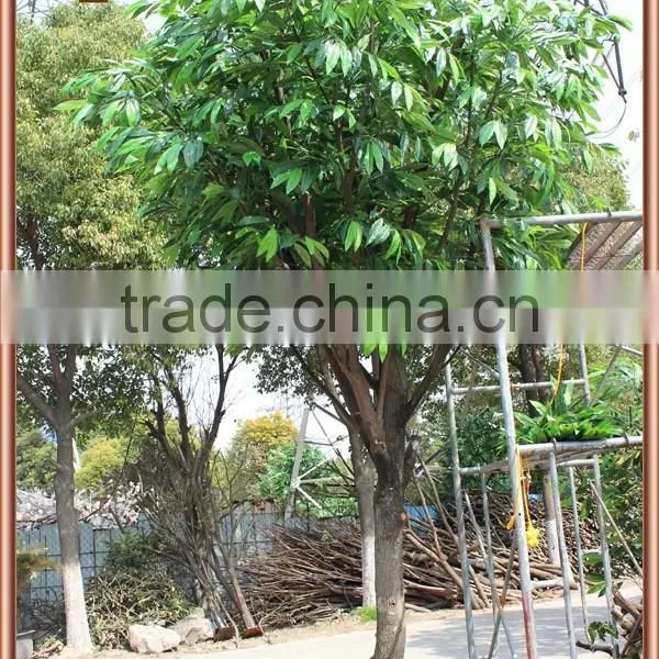 Artificial Mango Tree for Decoration