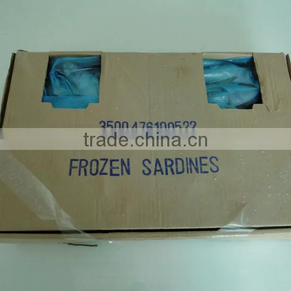 Export Wholesale Sardines For Can photo-2