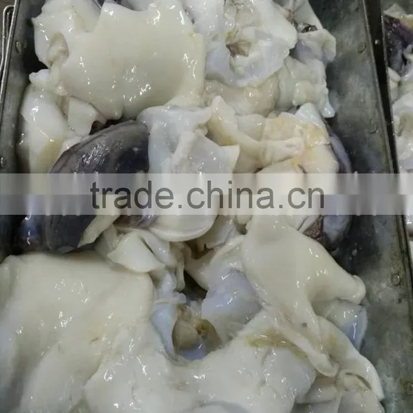 Frozen Giant Squid Neck
