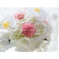 Falls Section Phalaenopsis Models Holding Flowers photo-2