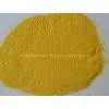Dehydrated Pumpkin Powder